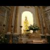 immacolata san francesco.jpg